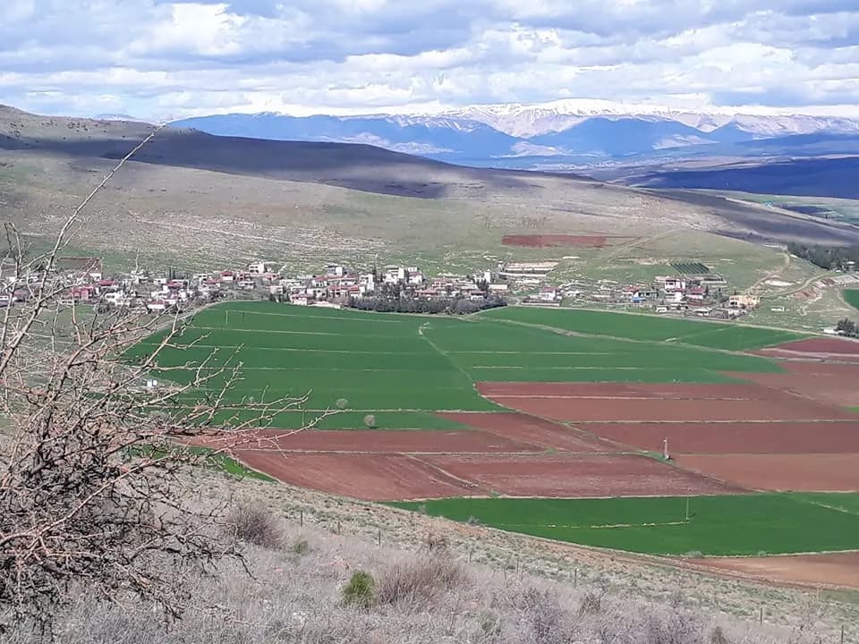 Çîroka Çiyayê Tûte