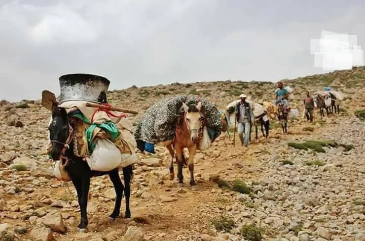 Bir Fotoğrafın Düşündürdükleri